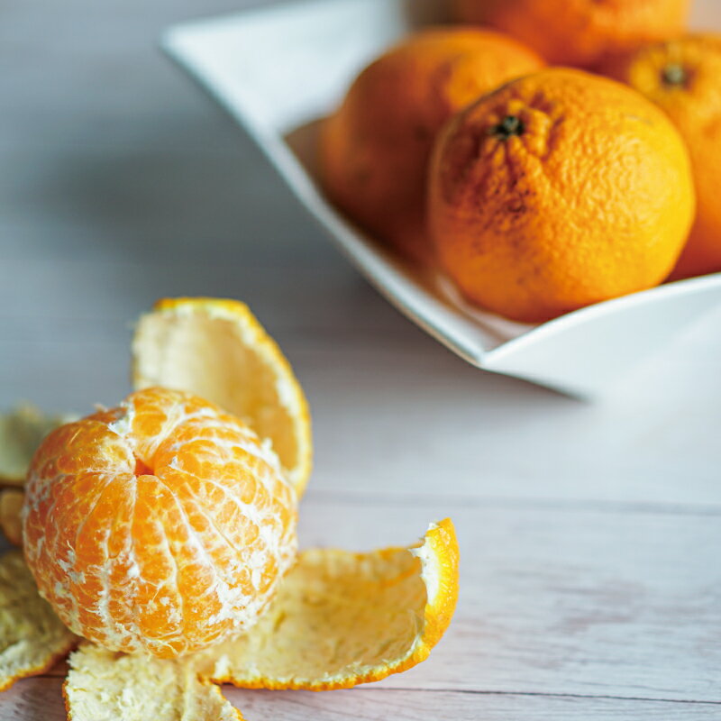 【ふるさと納税】 不知火 たにぐち農園の 完熟不知火 5kg 【2026年2月中旬から3月下旬までに順次発送】 デコポン みかん ミカン 蜜柑 柑橘 果物 くだもの フルーツ 予約 人気 ジューシー 甘い 産地直送 送料無料 サムネイル3