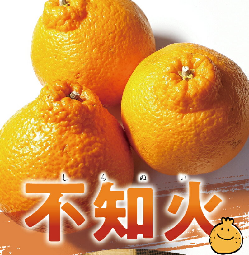 【ふるさと納税】 訳あり 不知火 3.5kg ＋痛み保障分 大小混合 家庭用 訳アリ わけあり みかん ミカン フルーツ 果物 くだもの 不知火 しらぬい 不知火デコポン 蜜柑 柑橘 人気 予約 先行予約 数量限定 【2026年2月初旬〜3月下旬までに順次発送】 サムネイル2