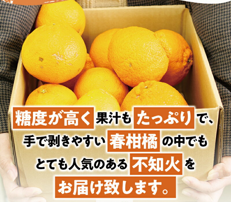 【ふるさと納税】 訳あり 不知火 3.5kg ＋痛み保障分 大小混合 家庭用 訳アリ わけあり みかん ミカン フルーツ 果物 くだもの 不知火 しらぬい 不知火デコポン 蜜柑 柑橘 人気 予約 先行予約 数量限定 【2026年2月初旬〜3月下旬までに順次発送】 サムネイル3