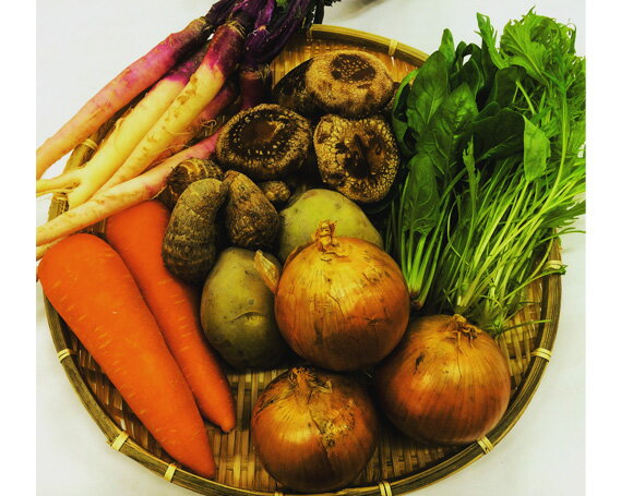 近江野菜セット [GA02] / 国産 大津市 野菜セット 野菜詰め合わせ 詰め合せ 詰合せ