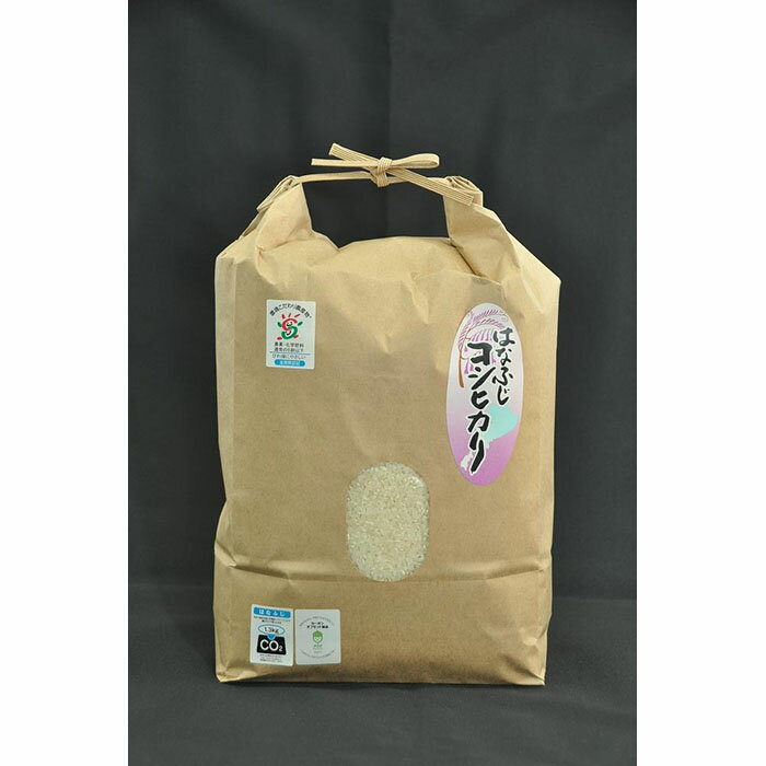 令和7年産 大津産コシヒカリ「はなふじ」 精米 5kg [AZ001]