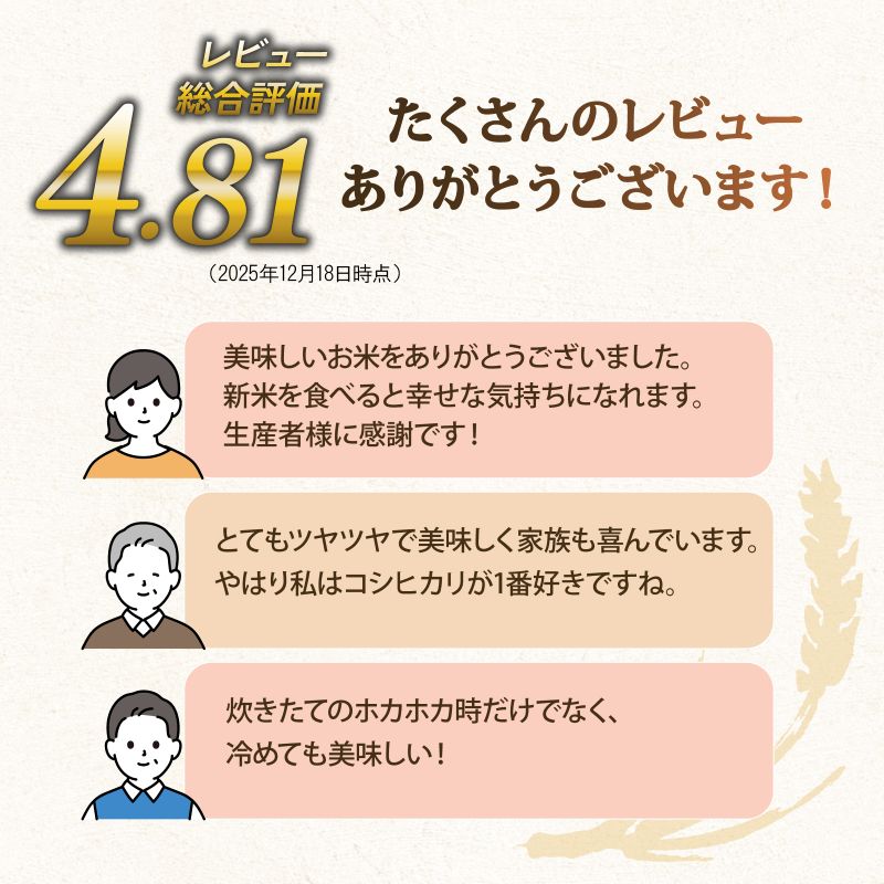【ふるさと納税】 こしひかり 5kg / 10kg 単品 / 定期便 令和7年産 米 精米 こめ コメ お米 コシヒカリ ご飯 5キロ 10キロ 令和7年 3ヶ月定期便 6か月定期便 12ヶ月定期便 ふるさと納税米 ふるさと納税米定期便 滋賀 彦根 - 画像2