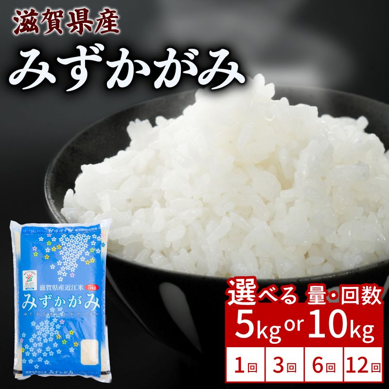 みずかがみ 5kg / 10kg 単品 / 定期便 令和7年産 米 精米 こめ コメ お米 ご飯 5キロ 10キロ 令和7年 令和7年 3ヶ月定期便 6か月定期便 12ヶ月定期便 ふるさと納税米 ふるさと納税米定期便 滋賀 彦根