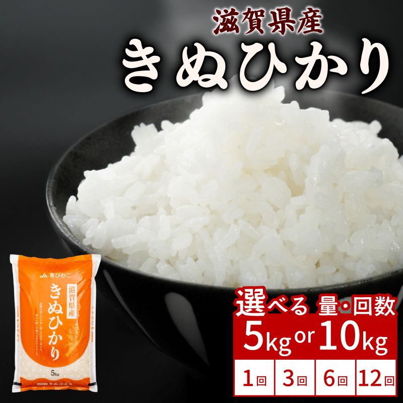 きぬひかり 5kg / 10kg 単品 / 定期便 令和7年産 米 精米 こめ コメ お米 キヌヒカリ ご飯 5キロ 10キロ 令和7年 3ヶ月定期便 6か月定期便 12ヶ月定期便 ふるさと納税米 ふるさと納税米定期便 滋賀 彦根