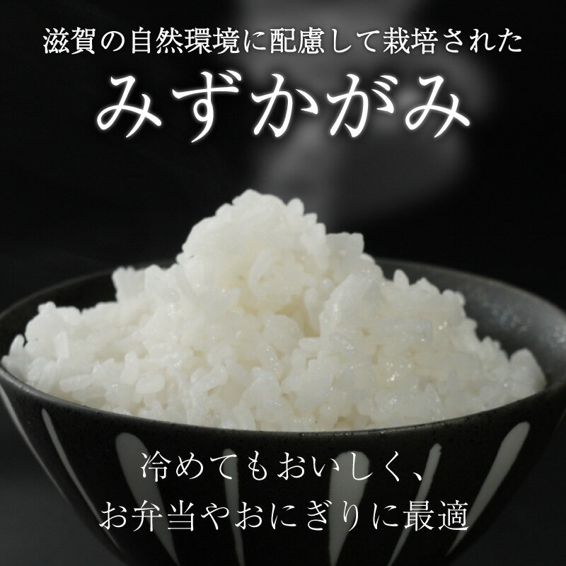 【ふるさと納税】 みずかがみ 5kg / 10kg 単品 / 定期便 令和7年産 米 精米 こめ コメ お米 ご飯 5キロ 10キロ 令和7年 令和7年 3ヶ月定期便 6か月定期便 12ヶ月定期便 ふるさと納税米 ふるさと納税米定期便 滋賀 彦根 - 画像3