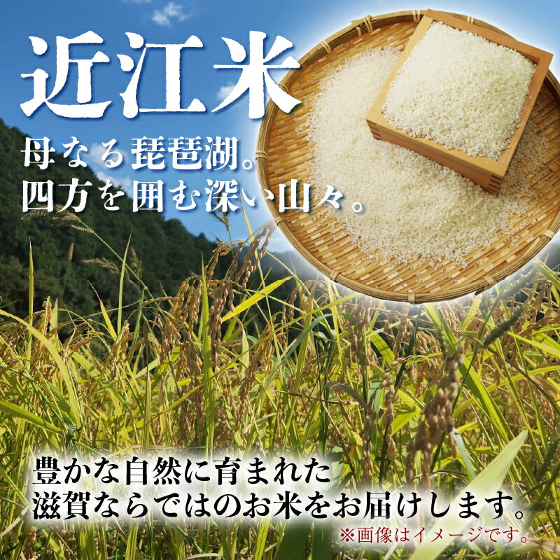 【ふるさと納税】 こしひかり 5kg / 10kg 単品 / 定期便 令和7年産 米 精米 こめ コメ お米 コシヒカリ ご飯 5キロ 10キロ 令和7年 3ヶ月定期便 6か月定期便 12ヶ月定期便 ふるさと納税米 ふるさと納税米定期便 滋賀 彦根 - 画像3