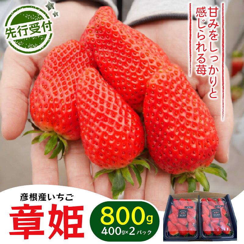 【先行予約】 いちご 章姫 800g あきひめ 苺 イチゴ 果物 くだもの フルーツ 食品 ストロベリー ジャム スムージー 期間限定 贈答 ギフト 400g × 2 パック 彦根 滋賀