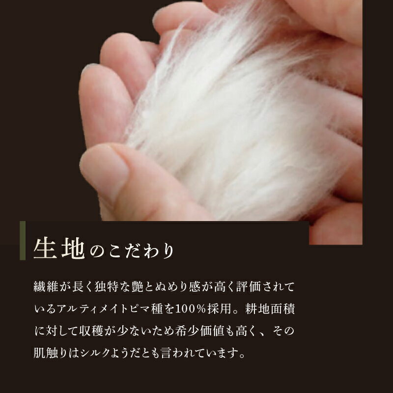 【ふるさと納税】 メンズ 半袖肌着 サイズが選べる ピュアオーガニックコットンアルティメイトピマ100％ インナー オーガニック オーガニックコットン 有機栽培 ナチュラル ピュア 半袖 S M L 肌着 コットン 男性 男性用 服 洋服 滋賀 彦根 サムネイル3