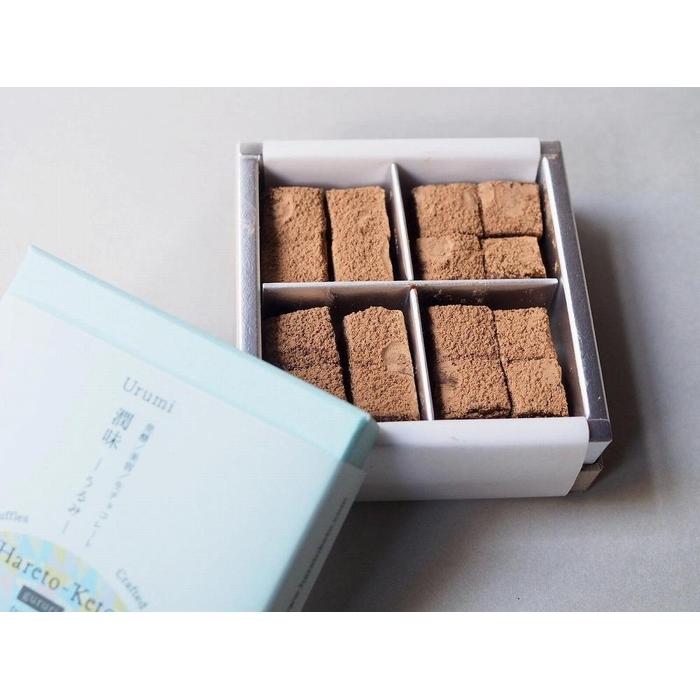 【ふるさと納税】 【乳製品不使用】発酵ヴィーガン生チョコレートUrumi【2箱セット】 | 菓子 おかし 食品 人気 おすすめ 送料無料 - 画像2