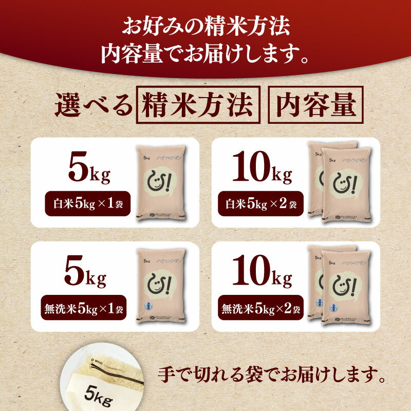 【ふるさと納税】 令和7年 彦根産 ハナエチゼン 選べる 容量 精米方法 5kg 10kg 白米 無洗米 近江米 お米 精米 米 こめ コメ おこめ ご飯 ごはん はなえちぜん おすすめ 送料無料 滋賀 彦根 ひこね - 画像3