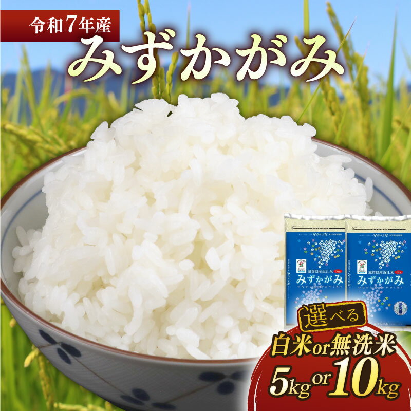 令和7年 みずかがみ 選べる容量 5kg 10kg 選べる精米方法 白米 無洗米 近江米 ミズカガミ 水鏡 米 コメ こめ お米 精米 ご飯 ごはん 飯 彦根産 滋賀 彦根