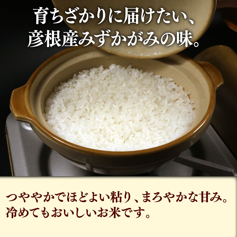 【ふるさと納税】 令和7年 みずかがみ 選べる容量 5kg 10kg 選べる精米方法 白米 無洗米 近江米 ミズカガミ 水鏡 米 コメ こめ お米 精米 ご飯 ごはん 飯 彦根産 滋賀 彦根 - 画像2