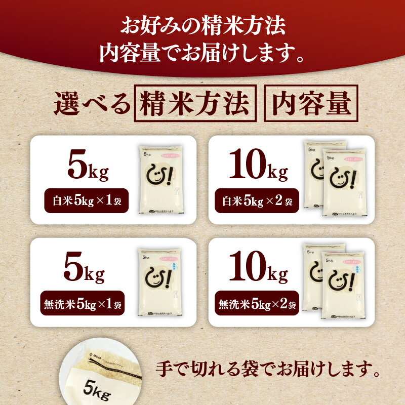 【ふるさと納税】 令和7年 ミルキークイーン 選べる容量 5kg 10kg 選べる精米方法 白米 無洗米 近江米 米 コメ こめ お米 精米 ご飯 ごはん 飯 彦根産 滋賀 彦根 - 画像3