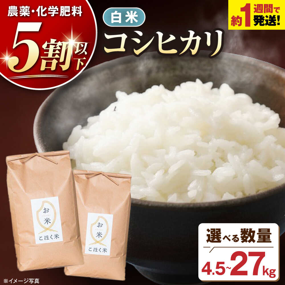 白米 コシヒカリ スピード発送【令和7年産】＜選べる内容量＞4.5kg〜27kg【減農薬米】 米 近江米 精米 人気 おすすめ 送料無料 滋賀県長浜市/エース物産[AQAK002]