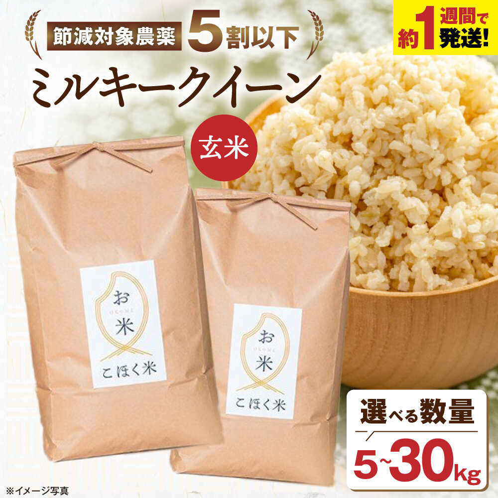 スピード発送＜選べる内容量＞【令和7年産】玄米 米 ミルキークイーン 玄米 5kg〜30kg 米 ミルキークイーン ふるさと納税 玄米 5kg 10kg 20kg 30kg 米 玄米 みるきーくいーん お米 人気 おすすめ 滋賀県長浜市/株式会社エース物産[AQAK009]