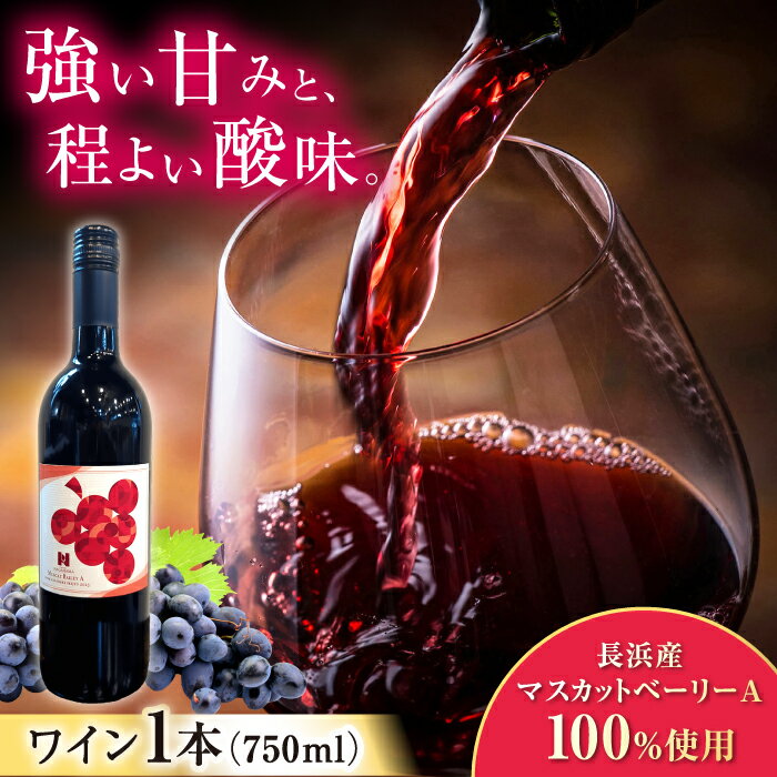 長浜産マスカットベーリーA(赤)　滋賀県長浜市/Wine＆CidreNAGAHAMA[AQBJ005]ワイン 赤ワイン 国産ワイン 日本ワイン ぶどう マスカット 滋賀 長浜 NAGAHAMA 人気 おすすめ お酒 マスカットベーリーA