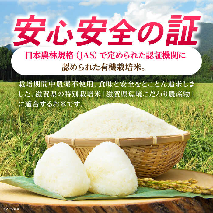 【ふるさと納税】【令和7年産】 JASオーガニック コシヒカリ 30kg (10kg×3袋) 玄米 滋賀県長浜市/有限会社もりかわ農場 [AQBL011] 特別栽培米 栽培期間中 農薬不使用 コシヒカリ こしひかり 米 お米 玄米 30kg こしひかり ※着日指定不可 - 画像2