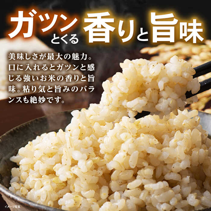 【ふるさと納税】【令和7年産】 JASオーガニック コシヒカリ 30kg (10kg×3袋) 玄米 滋賀県長浜市/有限会社もりかわ農場 [AQBL011] 特別栽培米 栽培期間中 農薬不使用 コシヒカリ こしひかり 米 お米 玄米 30kg こしひかり ※着日指定不可 - 画像3