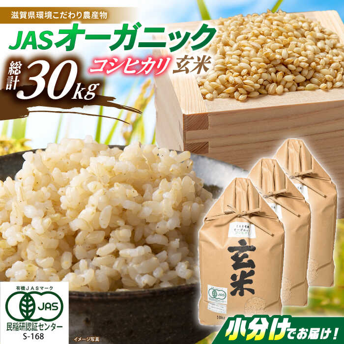 【令和7年産】 JASオーガニック コシヒカリ 30kg (10kg×3袋) 玄米 滋賀県長浜市/有限会社もりかわ農場 [AQBL011] 特別栽培米 栽培期間中 農薬不使用 コシヒカリ こしひかり 米 お米 玄米 30kg こしひかり ※着日指定不可
