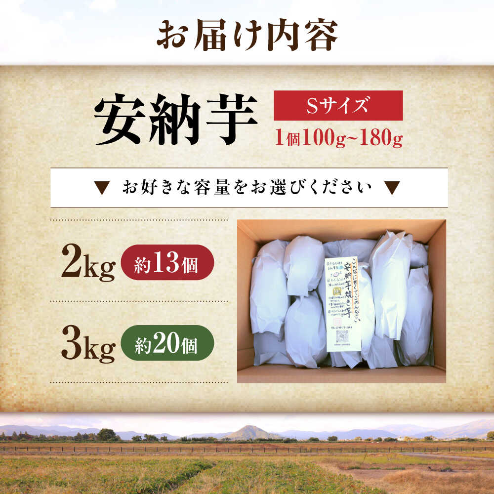 【ふるさと納税】【選べる容量】【熟成】プチサイズ安納芋 2kg / 3kg 熟成 蜜芋 お試しサイズ 2kg 3kg 焼き芋 小さめサイズ さつまいも サツマイモ 薩摩芋 芋 送料無料 滋賀県長浜市/好作豊吉[AQCF001] - 画像2