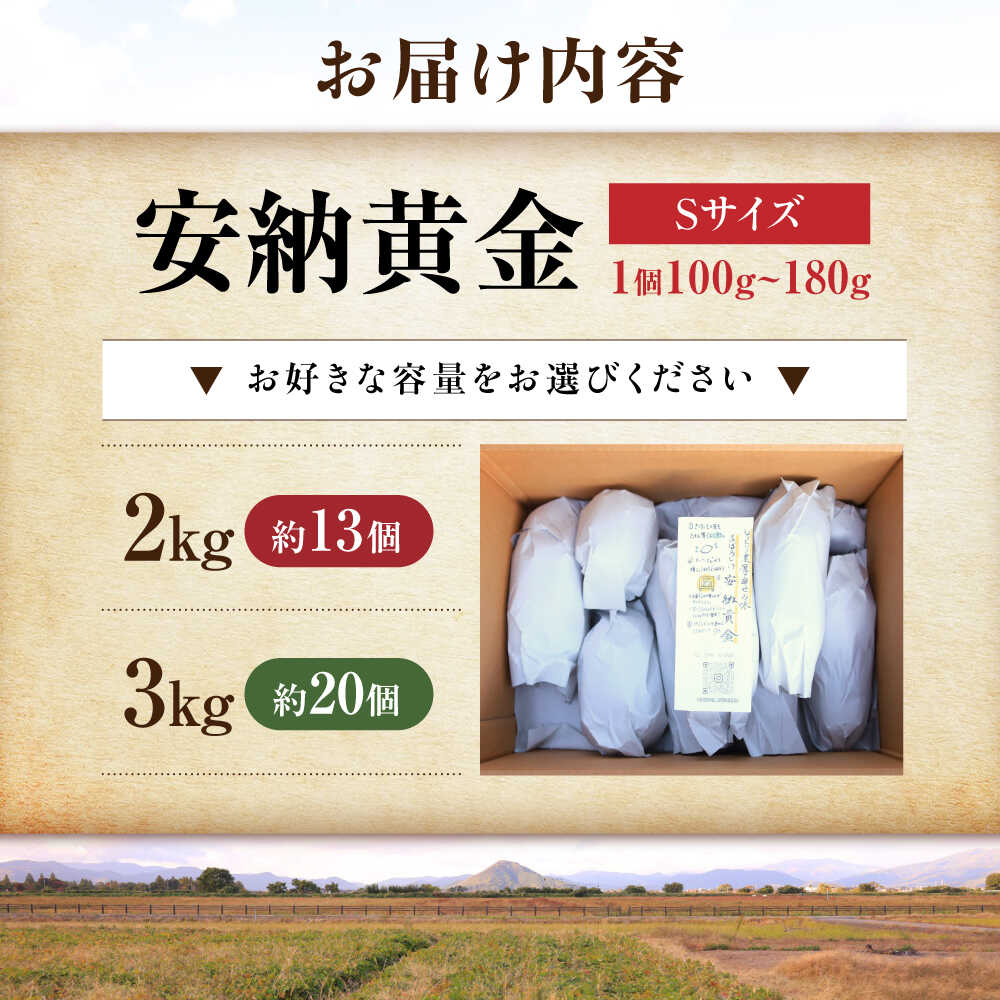 【ふるさと納税】【選べる容量】【熟成】プチサイズ安納黄金 2kg / 3kg 滋賀県長浜市/好作豊吉[AQCF003] - 画像2