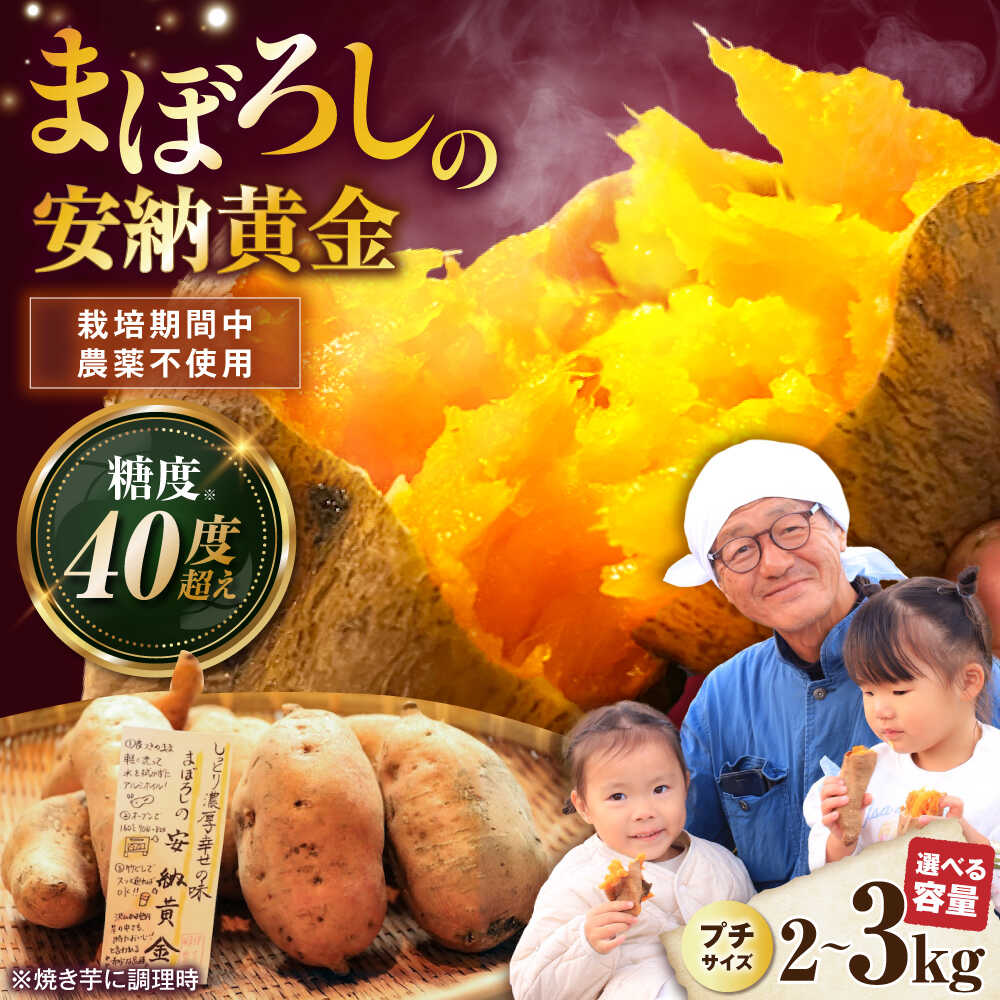 【選べる容量】【熟成】プチサイズ安納黄金 2kg / 3kg 滋賀県長浜市/好作豊吉[AQCF003]