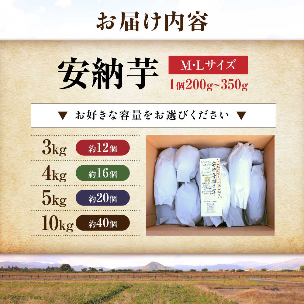 【ふるさと納税】【選べる容量】【厳選】熟成安納芋 3kg～10kg さつまいも サツマイモ さつま芋 安納いも 芋 イモ ふるさと納税 さつまいも 10kg 滋賀県長浜市/好作豊吉[AQCF005] - 画像2