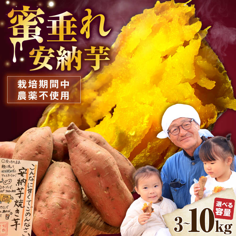 【選べる容量】【厳選】熟成安納芋 3kg～10kg さつまいも サツマイモ さつま芋 安納いも 芋 イモ ふるさと納税 さつまいも 10kg 滋賀県長浜市/好作豊吉[AQCF005]