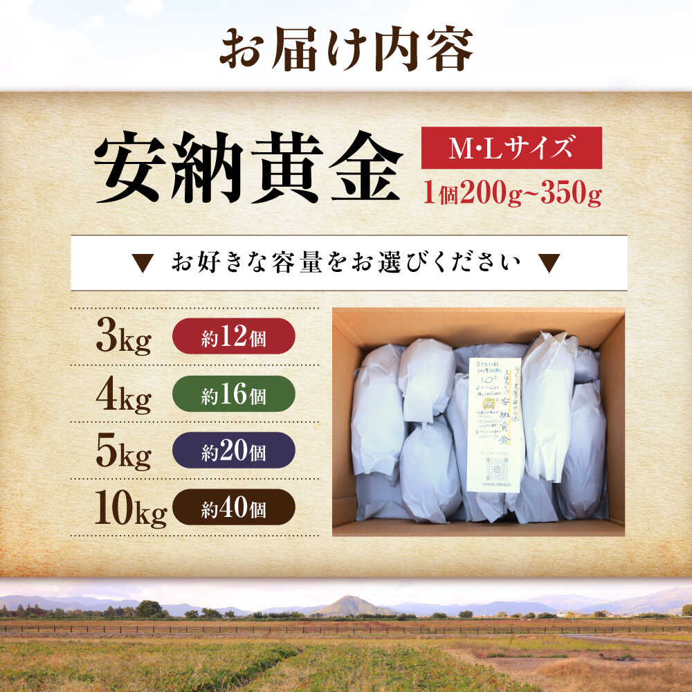 【ふるさと納税】【選べる容量】【厳選】熟成安納黄金 3kg～10kg 安納芋 さつまいも お芋 いも 安納いも さつま芋 おいも 蜜いも 野菜 サツマイモ 送料無料 滋賀県長浜市/好作豊吉[AQCF009] - 画像2