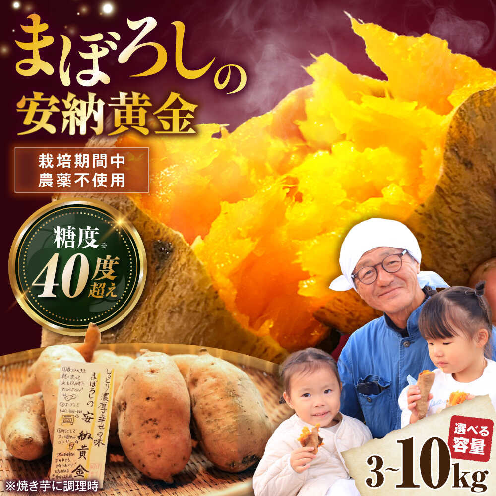 【選べる容量】【厳選】熟成安納黄金 3kg～10kg 安納芋 さつまいも お芋 いも 安納いも さつま芋 おいも 蜜いも 野菜 サツマイモ 送料無料 滋賀県長浜市/好作豊吉[AQCF009]