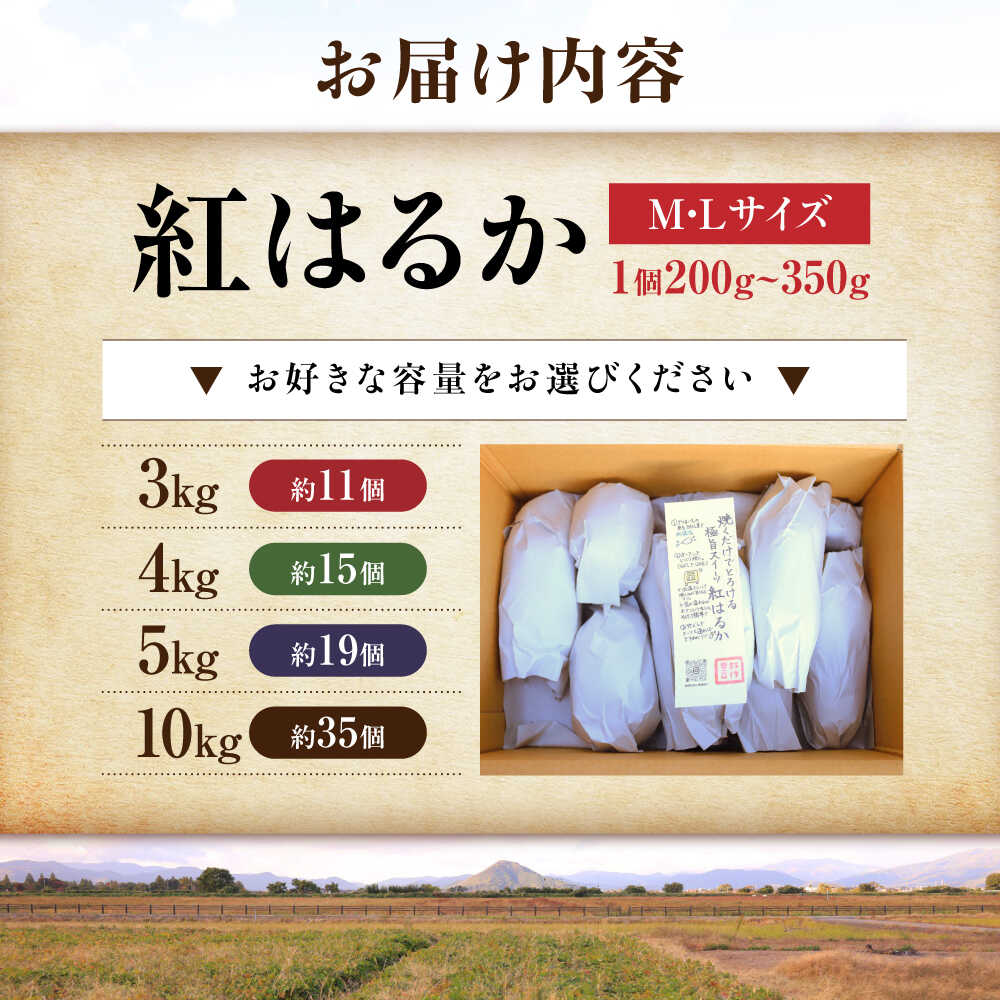 【ふるさと納税】【選べる容量】【厳選】さつまいも さつま芋 紅はるか 3kg～10kg （さつまいも 紅はるか べにはるか ベニハルカ）滋賀県長浜市/好作豊吉[AQCF013] - 画像2