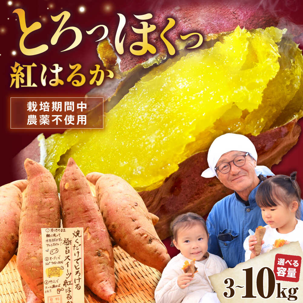 【選べる容量】【厳選】さつまいも さつま芋 紅はるか 3kg～10kg （さつまいも 紅はるか べにはるか ベニハルカ）滋賀県長浜市/好作豊吉[AQCF013]