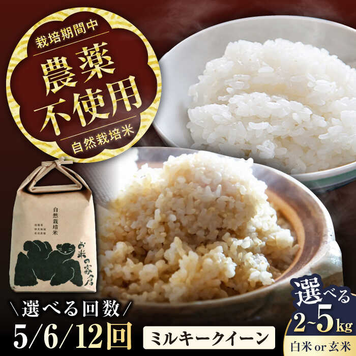 【令和7年産】【選べる精米方法/容量/定期便回数】 自然栽培米 ミルキークイーン 2kg 5kg 白米 玄米 全5回 全6回 全12回 滋賀県長浜市/お米の家倉[AQCP007] 米 こめ コメ お米 定期便 国産 精米 ご飯 おにぎり ごはん おこめ 人気 おすすめ