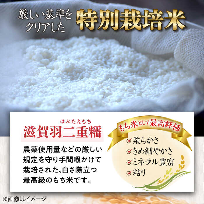 【ふるさと納税】滋賀県産【特別栽培米】羽二重糯（はぶたえもち）3kg 滋賀県長浜市/株式会社TPF [AQCQ007] ※着日指定不可 羽二重 羽二重糯 米 お米 もち米 餅米 3kg ブランド米 和菓子 お餅 人気 おすすめ - 画像3