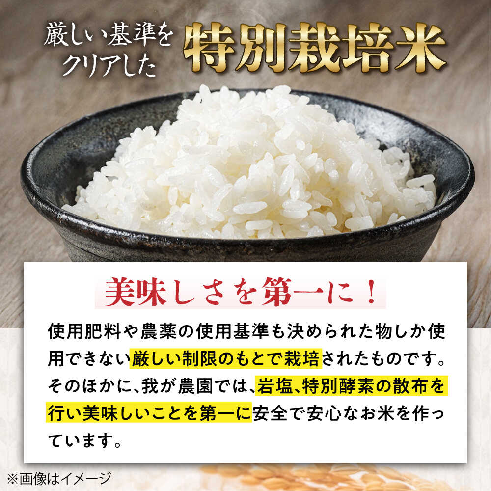 【ふるさと納税】【令和7年産】【選べる容量】特別栽培米 コシヒカリ 5kg〜15kg 滋賀県長浜市/株式会社TPF[AQCQ012]コシヒカリ こしひかり 米 お米 白米 5kg 10kg 15kg おこめ ご飯 白飯 国産 精米 粘り つや おいしいお米 安心 夜ごはん おにぎり - 画像3