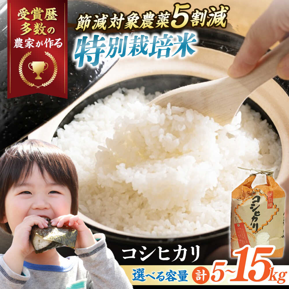 【令和7年産】【選べる容量】特別栽培米 コシヒカリ 5kg〜15kg 滋賀県長浜市/株式会社TPF[AQCQ012]コシヒカリ こしひかり 米 お米 白米 5kg 10kg 15kg おこめ ご飯 白飯 国産 精米 粘り つや おいしいお米 安心 夜ごはん おにぎり