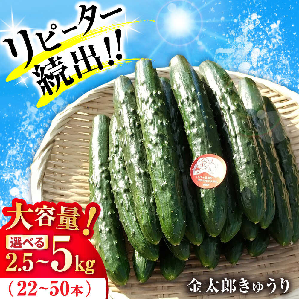 ＜先行予約＞【選べる容量】金太郎きゅうり 2.5kg〜5kg 滋賀県長浜市/ミヤベアグリックファーム[AQDD001] きゅうり キュウリ 胡瓜 野菜 やさい ヤサイ 新鮮 冷蔵 2.5kg 5kg人気 おすすめ 1万円 以下 一万円 以下 10000円 以下