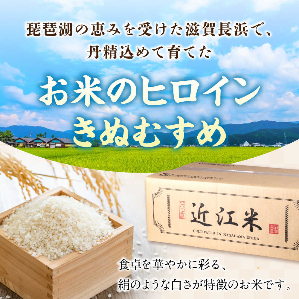 【ふるさと納税】すぐ届く【令和7年産】【選べる容量】きぬむすめ 5kg〜10kg 白米 滋賀県長浜市/株式会社コメック [AQDH005] きぬむすめ 米 お米 白米 5kg 10kg 5キロ 10キロ 近江米 美味しい ごはん 人気 おすすめ 精米 国産米 長浜市 産地直送 すぐ届く 早い 発送 すぐ - 画像2