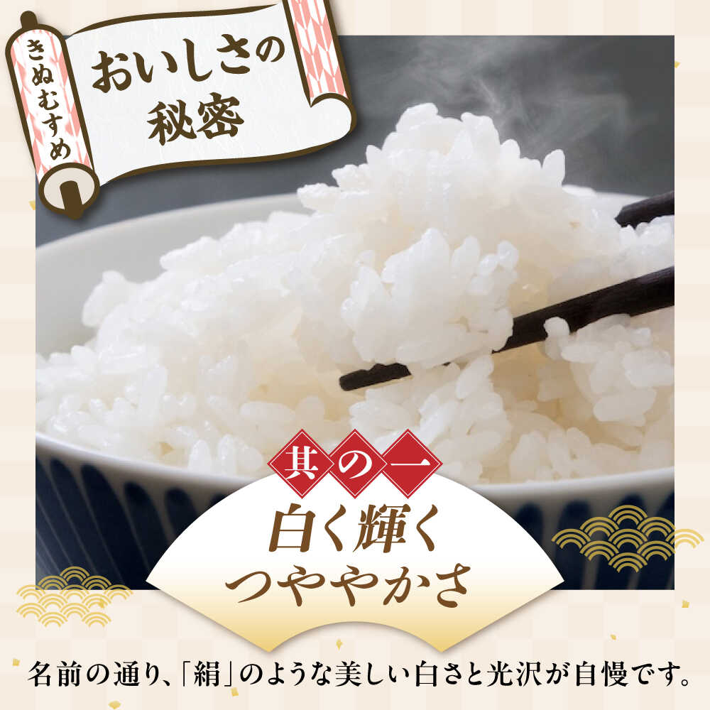 【ふるさと納税】すぐ届く【令和7年産】【選べる容量】きぬむすめ 5kg〜10kg 白米 滋賀県長浜市/株式会社コメック [AQDH005] きぬむすめ 米 お米 白米 5kg 10kg 5キロ 10キロ 近江米 美味しい ごはん 人気 おすすめ 精米 国産米 長浜市 産地直送 すぐ届く 早い 発送 すぐ - 画像3