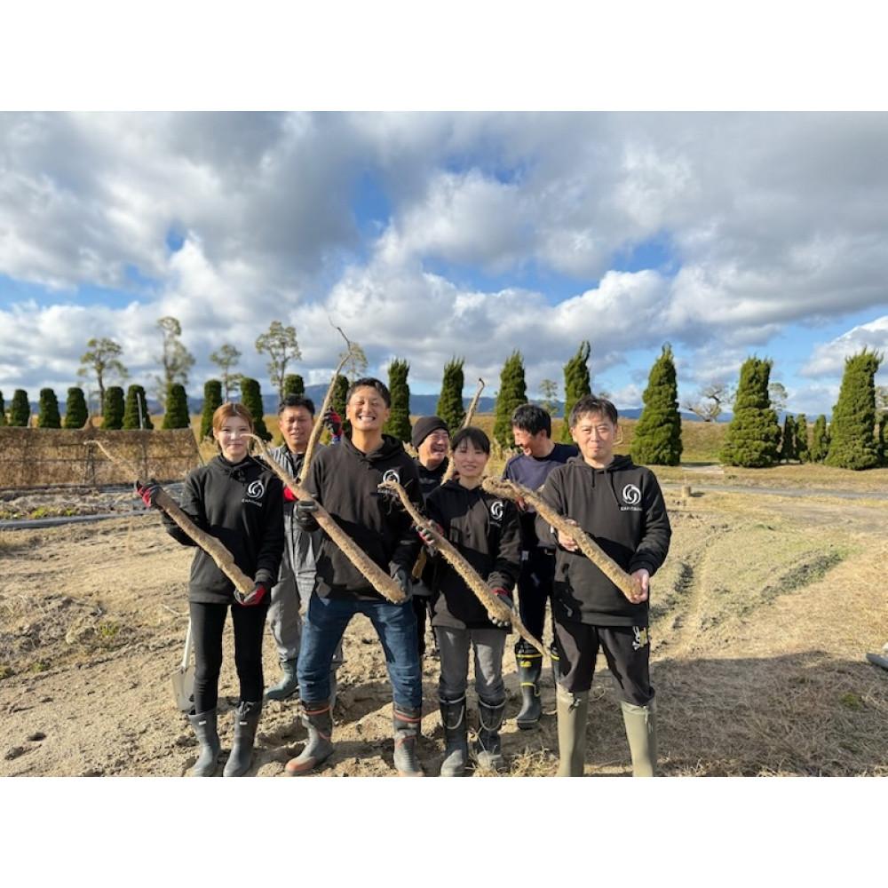 【ふるさと納税】【2026年2月より順次発送】自然薯 すりおろし 冷凍 50g×5パック | 草津市 農産物 自然薯 冷凍食品 すりおろし 人気 おすすめ 健康食品 山芋 和食 惣菜 滋養強壮 国産野菜 ギフト 贈答用 お取り寄せ 通販 送料無料 - 画像3