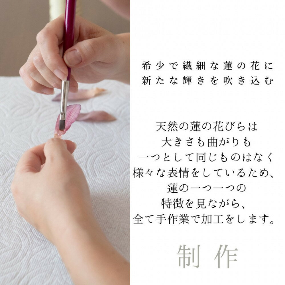 【ふるさと納税】天然の蓮の花びらがはいったピアス | 草津市 ハンドメイド 天然素材 蓮の花びら アクセサリー 人気 おすすめ ピアス 手作り 工芸品 ギフト プレゼント おしゃれ お取り寄せ 通販 送料無料 サムネイル3