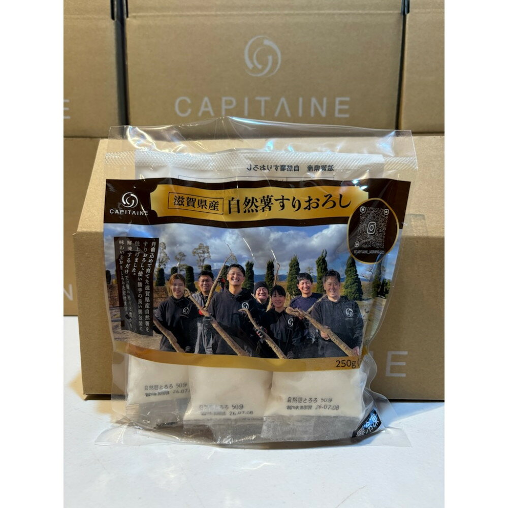 【2026年2月より順次発送】自然薯 すりおろし 冷凍 50g×5パック | 草津市 農産物 自然薯 冷凍食品 すりおろし 人気 おすすめ 健康食品 山芋 和食 惣菜 滋養強壮 国産野菜 ギフト 贈答用 お取り寄せ 通販 送料無料