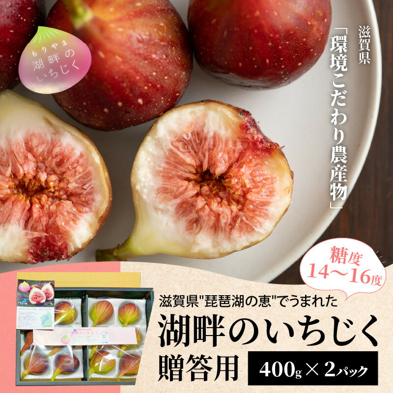 【2026年配送・先行予約】いちじく 400g × 2パック 計 800g 贈答用 湖畔のいちじく 糖度14度〜糖度16度 美活 果物 フルーツ 旬のフルーツ 季節の果物 デザート お土産 贈り物 ギフト プレゼント 冷蔵 お取り寄せ お取り寄せグルメ 送料無料