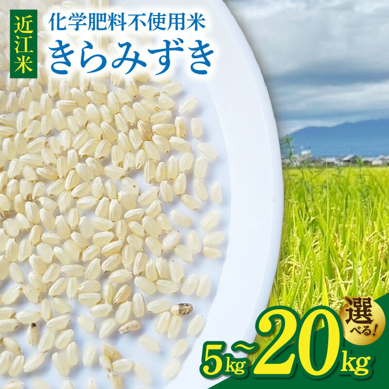 令和8年 新米 先行予約 近江米 きらみずき 選べる 容量 5kg 10kg 20kg 鮮度保持袋 ブレスパック 栽培期間中 化学肥料不使用 こだわり 大粒 食感 みずみずしい 甘さ 広がる ツヤ 粒が大きい ふっくら 米 お米 お取り寄せ 滋賀県 守山市 送料無料