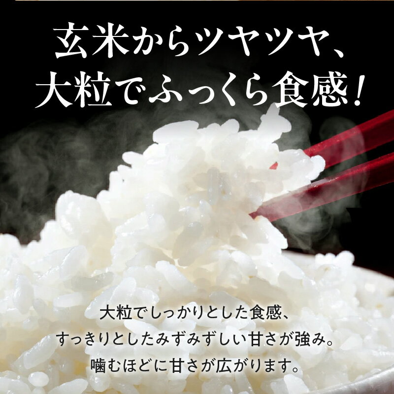 【ふるさと納税】令和8年 新米 先行予約 近江米 きらみずき 選べる 容量 5kg 10kg 20kg 鮮度保持袋 ブレスパック 栽培期間中 化学肥料不使用 こだわり 大粒 食感 みずみずしい 甘さ 広がる ツヤ 粒が大きい ふっくら 米 お米 お取り寄せ 滋賀県 守山市 送料無料 - 画像3