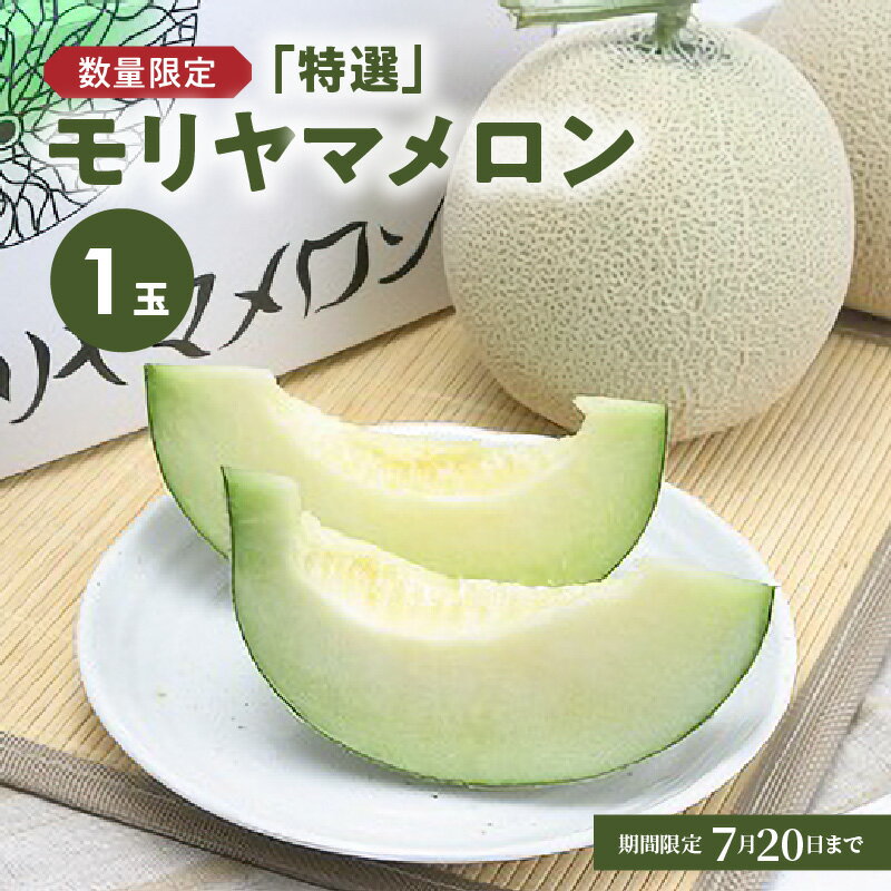 先行予約 特選 モリヤマメロン 1玉 アールスメロン 希少 メロン ブランド フルーツ 果物 デザート スイーツ 上品 濃厚 なめらか 甘味 芳醇 香り 常温 特産品 ご褒美 お取り寄せ お取り寄せフルーツ 滋賀県 守山市 レーク滋賀農業協同組合 送料無料