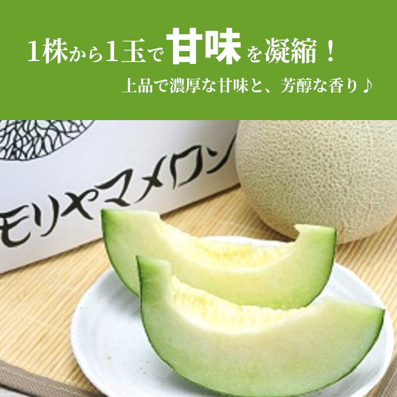 【ふるさと納税】先行予約 特選 モリヤマメロン 1玉 アールスメロン 希少 メロン ブランド フルーツ 果物 デザート スイーツ 上品 濃厚 なめらか 甘味 芳醇 香り 常温 特産品 ご褒美 お取り寄せ お取り寄せフルーツ 滋賀県 守山市 レーク滋賀農業協同組合 送料無料 - 画像2