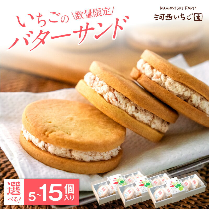 【数量限定】いちごのバターサンド 選べる 内容量 5～15個入り バターサンド バタークリームサンド 苺 お取り寄せ スイーツ 個包装 お菓子 洋菓子 焼き菓子 ビスケット おやつ 自宅用 贈り物 ギフト プレゼント 菓子 デザート 滋賀県 守山市 送料無料