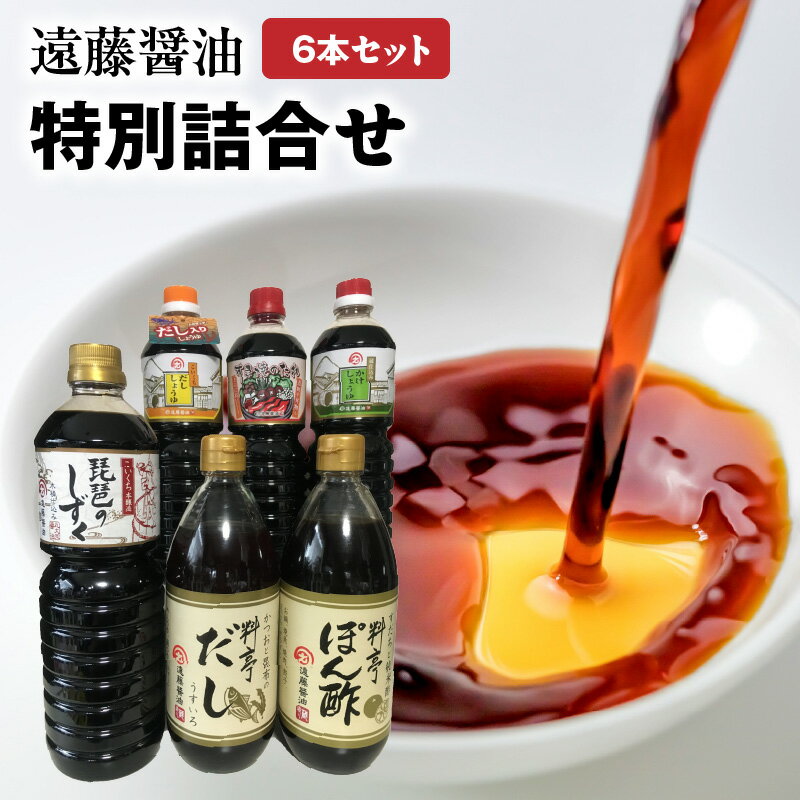 遠藤醤油 特別詰合せ かけしょうゆ すき焼きのたれ だししょうゆ 濃口しょうゆ 濃縮だし ぽん酢 調味料 万能 家庭用 お取り寄せ 守山市
