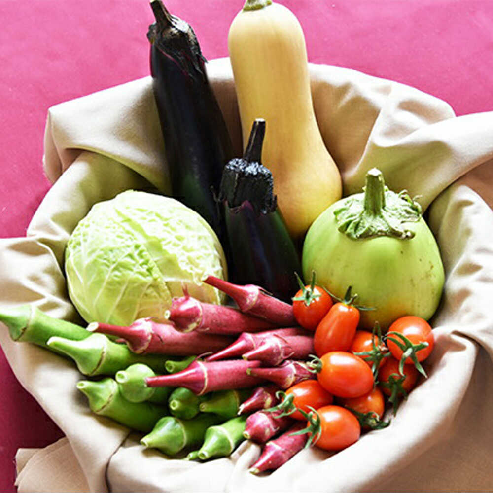 和らぎ農法 わっさんの食いしん坊野菜 旬の野菜便 7種類以上 （栽培期間中、農薬・化学肥料・動物性堆肥不使用）/セット 詰め合わせ 新鮮 野菜 旬 露地栽培 SDGs / 滋賀県 栗東市 / ワダケン リアルソイルハウス[BIBM001]